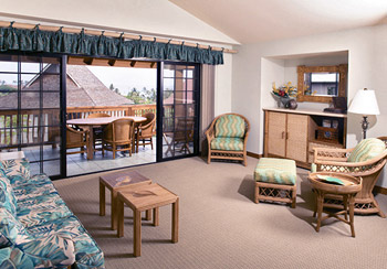 living room and lanai